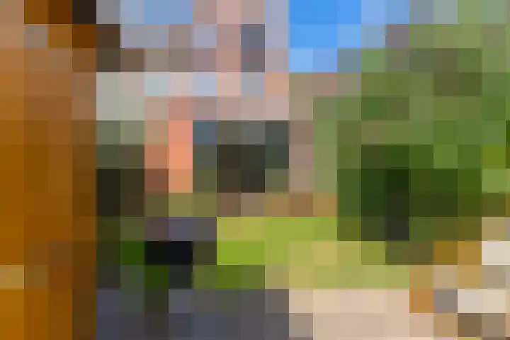 Adriaen van Ostadelaan 86 Utrecht thumbnail 16