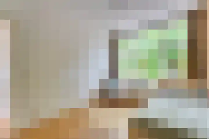 Adriaen van Ostadelaan 86 Utrecht thumbnail 22