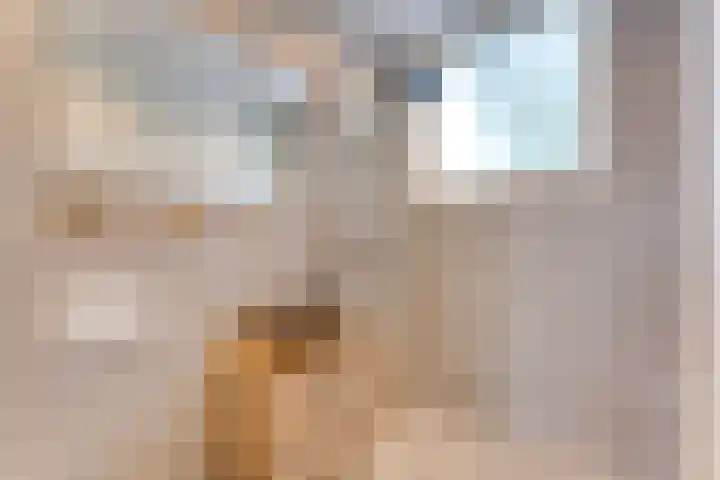 Adriaen van Ostadelaan 86 Utrecht thumbnail 24