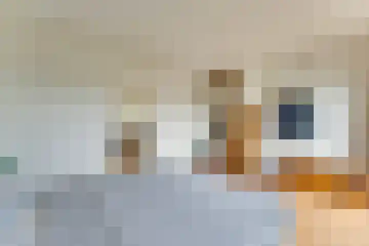 Adriaen van Ostadelaan 86 Utrecht thumbnail 28