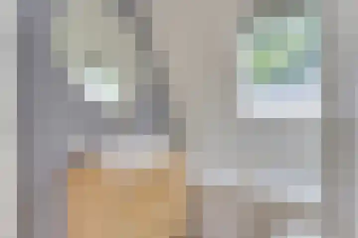 Adriaen van Ostadelaan 86 Utrecht thumbnail 29