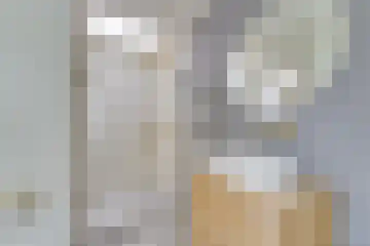 Adriaen van Ostadelaan 86 Utrecht thumbnail 30