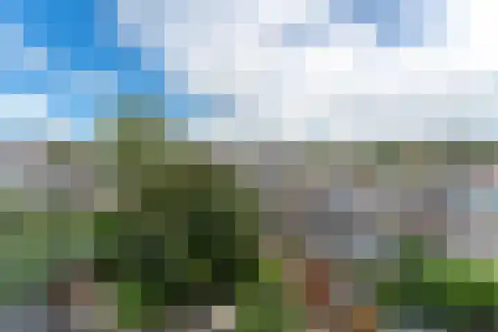 Adriaen van Ostadelaan 86 Utrecht thumbnail 31