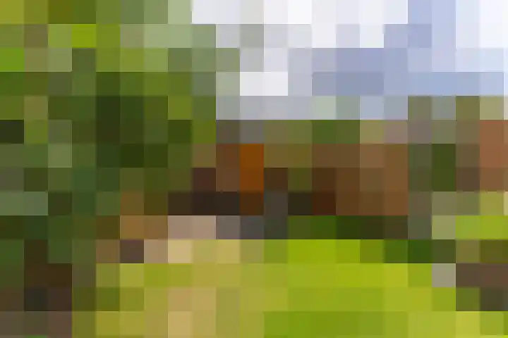 Adriaen van Ostadelaan 86 Utrecht thumbnail 32