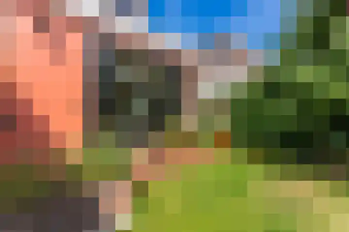 Adriaen van Ostadelaan 86 Utrecht thumbnail 33