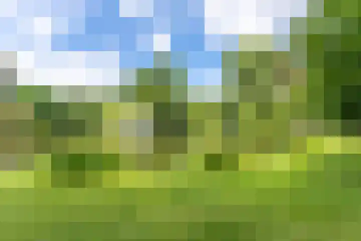 Adriaen van Ostadelaan 86 Utrecht thumbnail 36