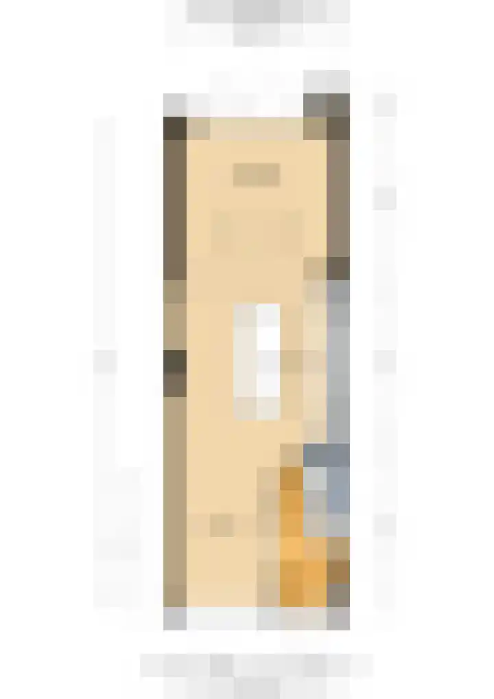 Adriaen van Ostadelaan 86 Utrecht thumbnail 39