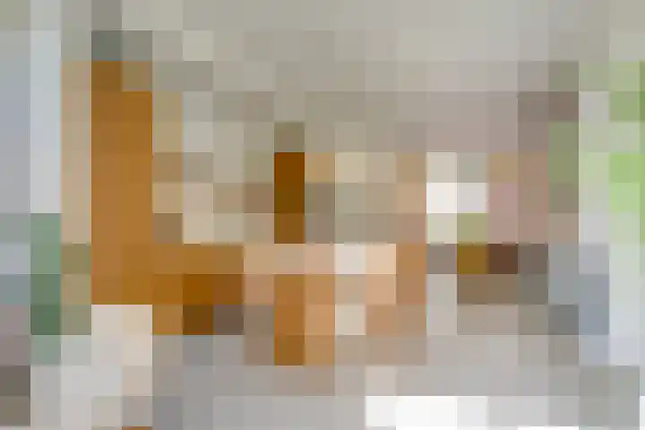 Adriaen van Ostadelaan 86 Utrecht thumbnail 4