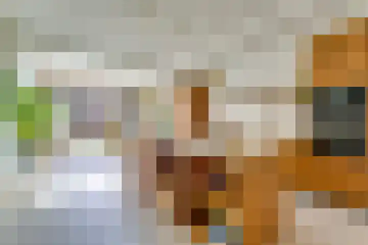 Adriaen van Ostadelaan 86 Utrecht thumbnail 5