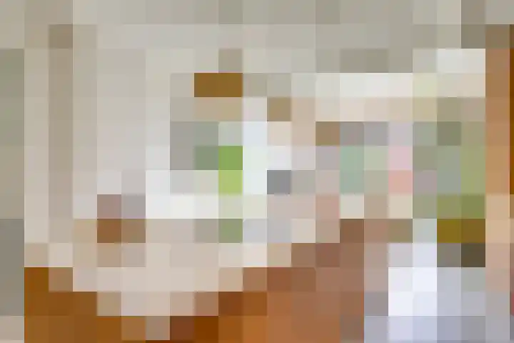 Adriaen van Ostadelaan 86 Utrecht thumbnail 6