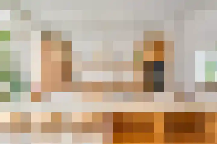 Adriaen van Ostadelaan 86 Utrecht thumbnail 7