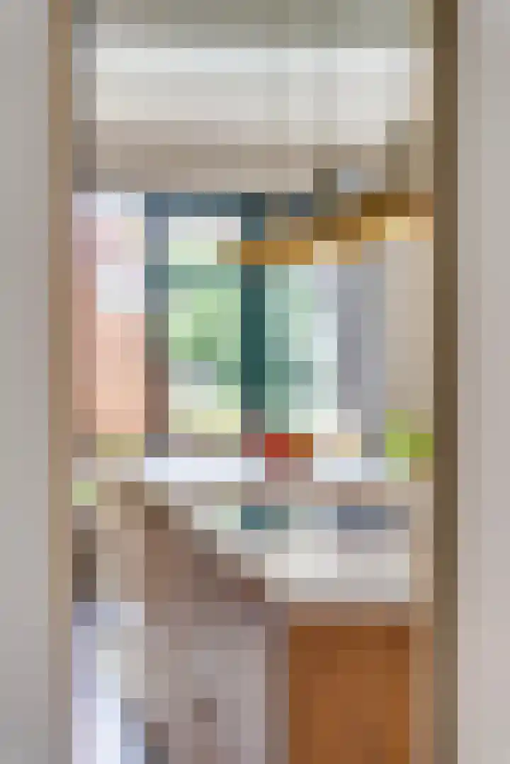 Adriaen van Ostadelaan 86 Utrecht thumbnail 8