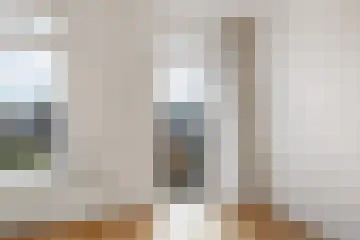 Adriaen van Ostadelaan 90 B Utrecht thumbnail 10