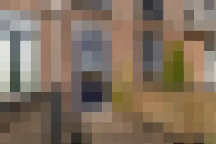 Adriaen van Ostadelaan 90 B Utrecht thumbnail 11