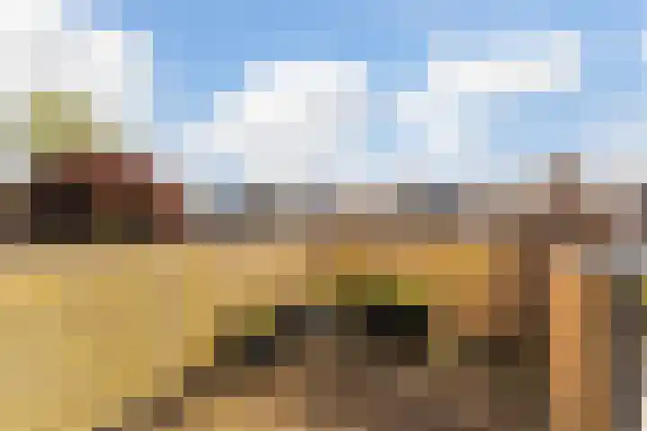 Adriaen van Ostadelaan 90 B Utrecht thumbnail 12