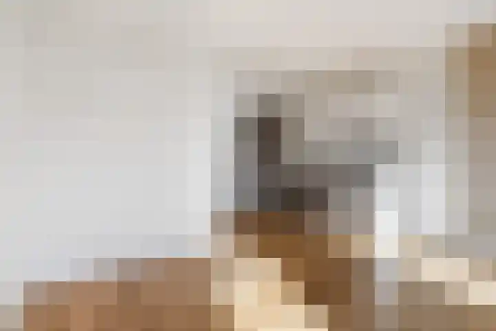 Adriaen van Ostadelaan 90 B Utrecht thumbnail 13