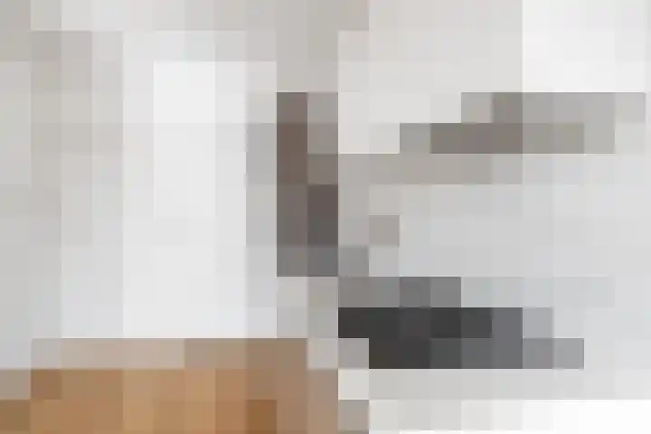 Adriaen van Ostadelaan 90 B Utrecht thumbnail 16