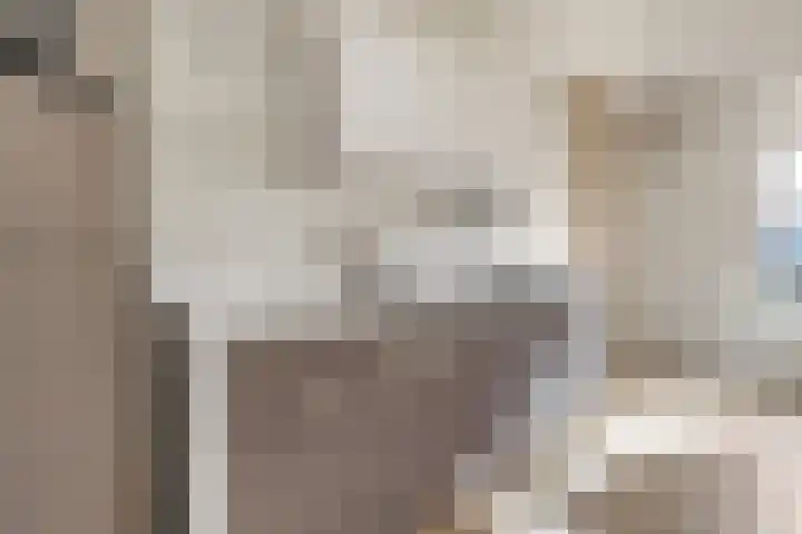 Adriaen van Ostadelaan 90 B Utrecht thumbnail 17