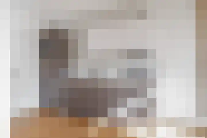Adriaen van Ostadelaan 90 B Utrecht thumbnail 18
