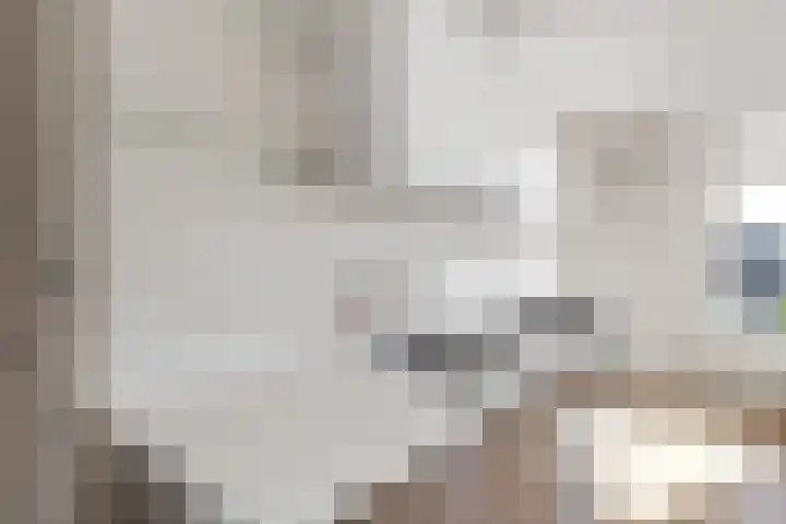 Adriaen van Ostadelaan 90 B Utrecht thumbnail 19