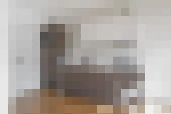 Adriaen van Ostadelaan 90 B Utrecht thumbnail 20