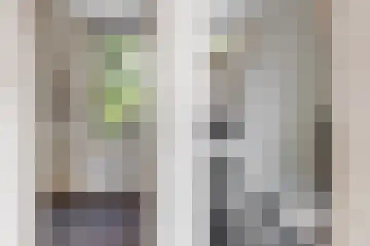 Adriaen van Ostadelaan 90 B Utrecht thumbnail 21