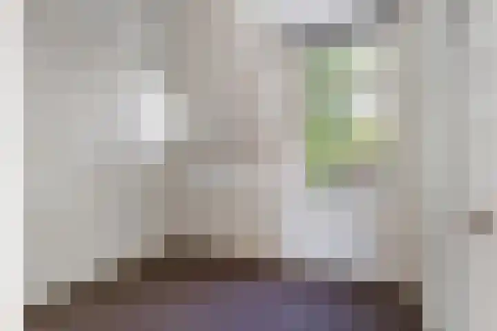 Adriaen van Ostadelaan 90 B Utrecht thumbnail 22