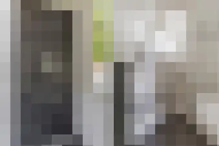Adriaen van Ostadelaan 90 B Utrecht thumbnail 27