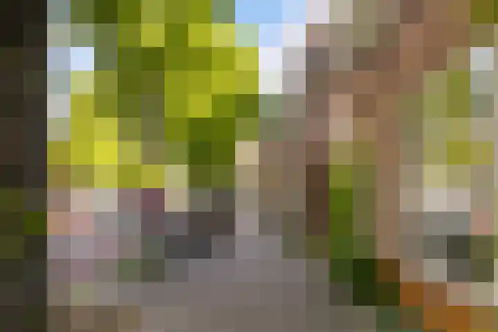 Adriaen van Ostadelaan 90 B Utrecht thumbnail 30