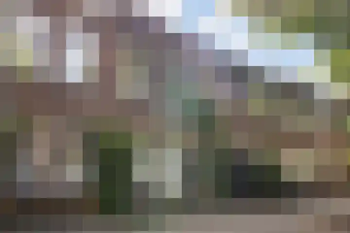 Adriaen van Ostadelaan 90 B Utrecht thumbnail 31
