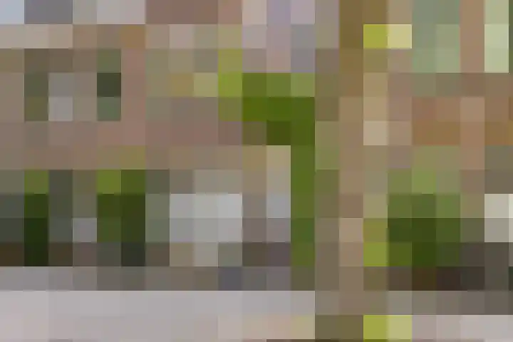 Adriaen van Ostadelaan 90 B Utrecht thumbnail 33