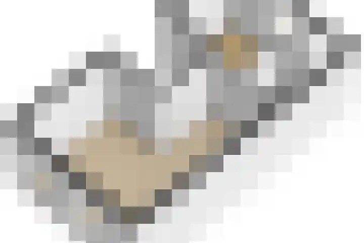 Adriaen van Ostadelaan 90 B Utrecht thumbnail 38