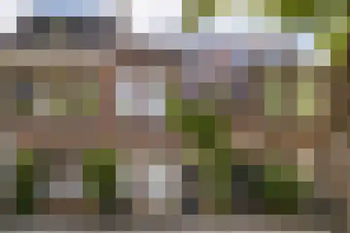 Adriaen van Ostadelaan 90 B Utrecht thumbnail 4