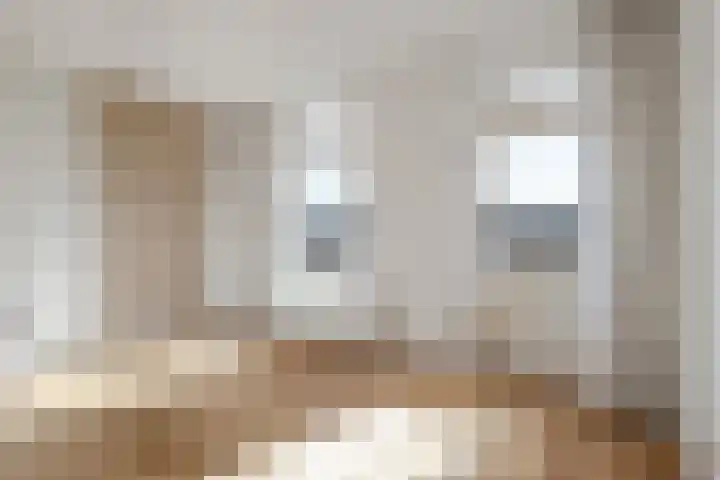 Adriaen van Ostadelaan 90 B Utrecht thumbnail 8