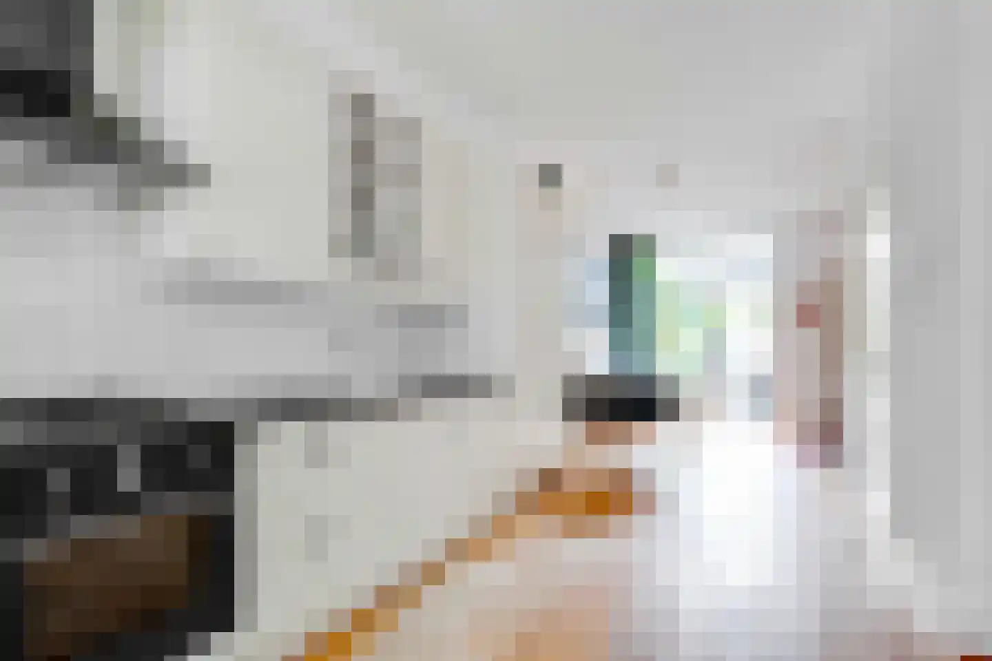Adriaen van Ostadelaan 90 Utrecht thumbnail 15