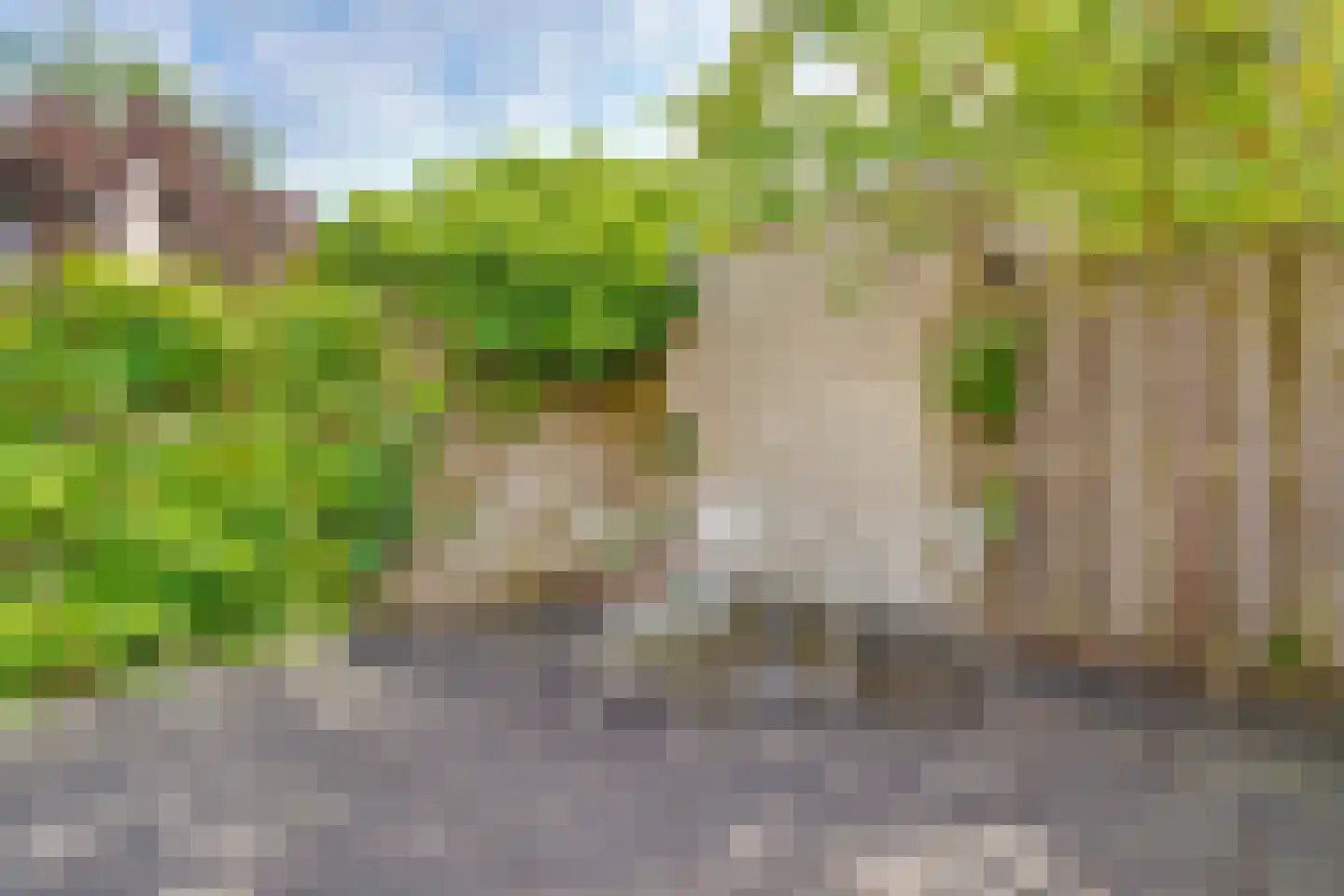 Adriaen van Ostadelaan 90 Utrecht thumbnail 29