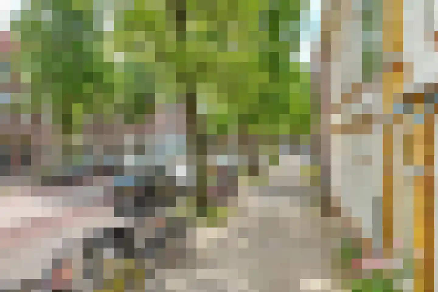 Adriaen van Ostadelaan 90 Utrecht thumbnail 35