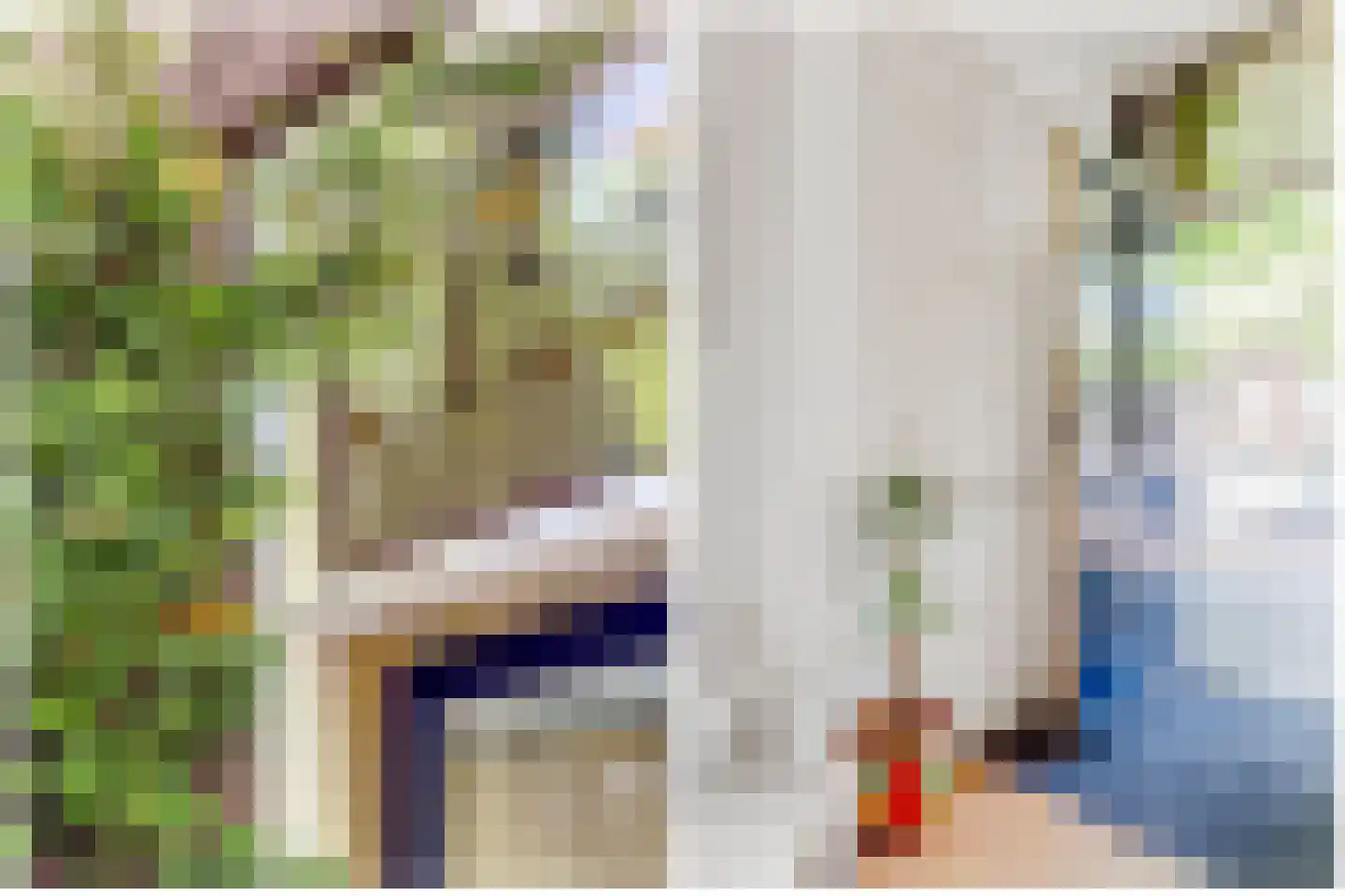 Adriaen van Ostadelaan 90 Utrecht thumbnail 4
