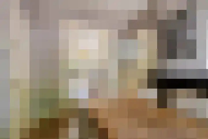Adriaen van Ostadelaan 92 Utrecht thumbnail 10