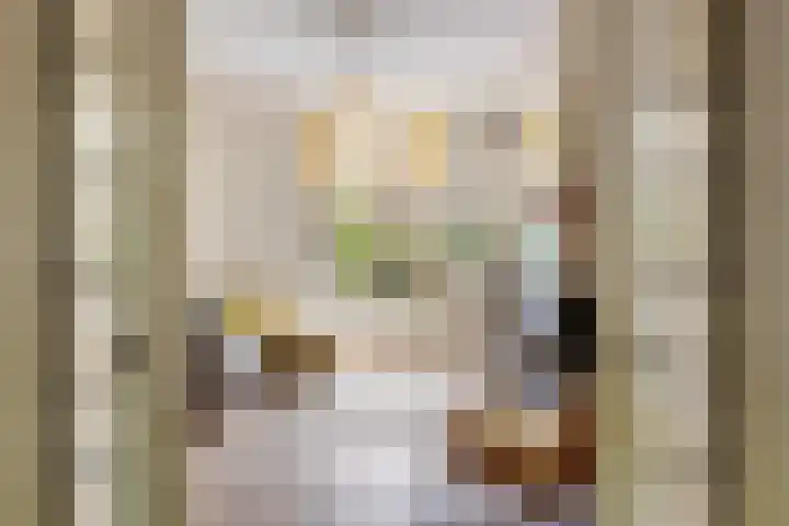 Adriaen van Ostadelaan 92 Utrecht thumbnail 11