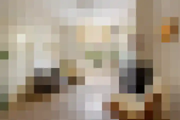Adriaen van Ostadelaan 92 Utrecht thumbnail 12