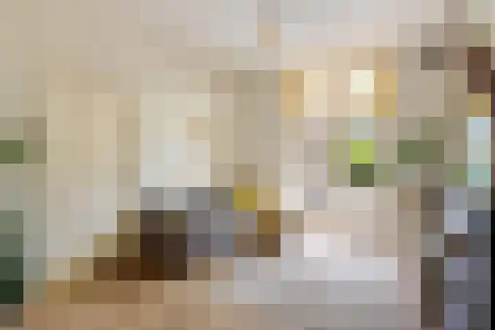 Adriaen van Ostadelaan 92 Utrecht thumbnail 13
