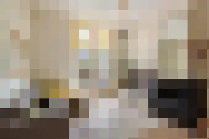 Adriaen van Ostadelaan 92 Utrecht thumbnail 14
