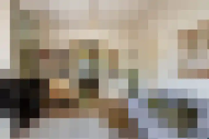 Adriaen van Ostadelaan 92 Utrecht thumbnail 15