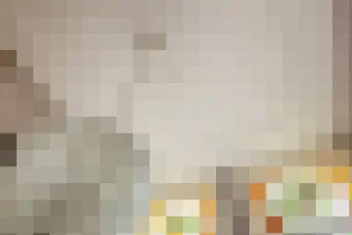 Adriaen van Ostadelaan 92 Utrecht thumbnail 18