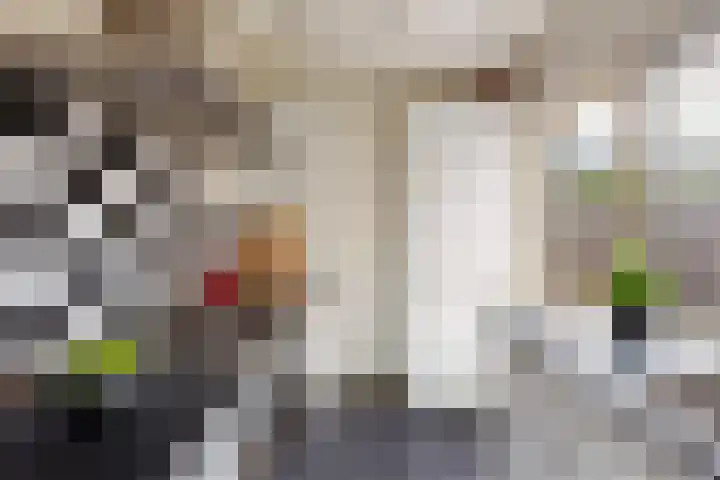 Adriaen van Ostadelaan 92 Utrecht thumbnail 20