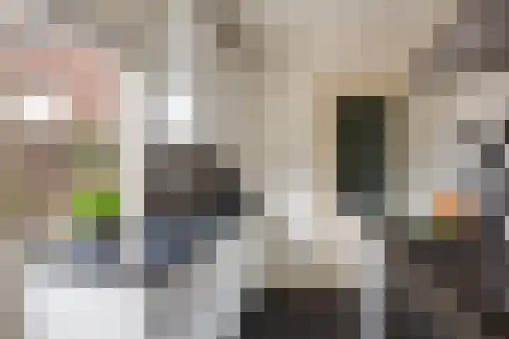 Adriaen van Ostadelaan 92 Utrecht thumbnail 21