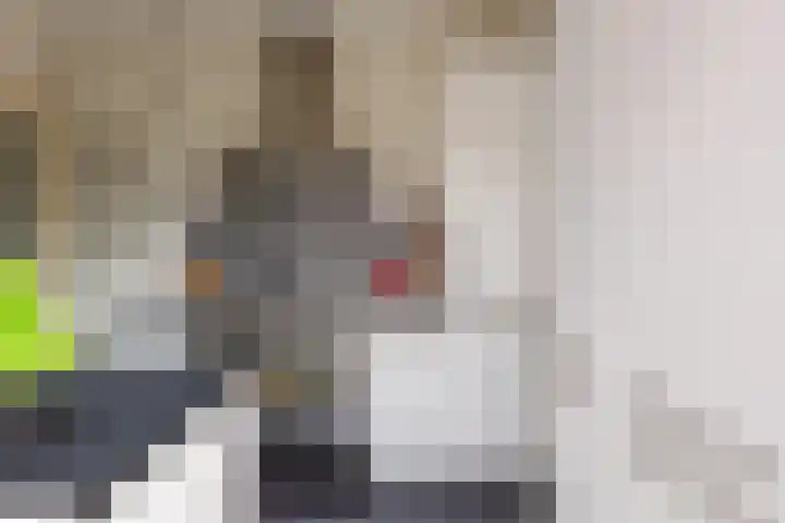 Adriaen van Ostadelaan 92 Utrecht thumbnail 22
