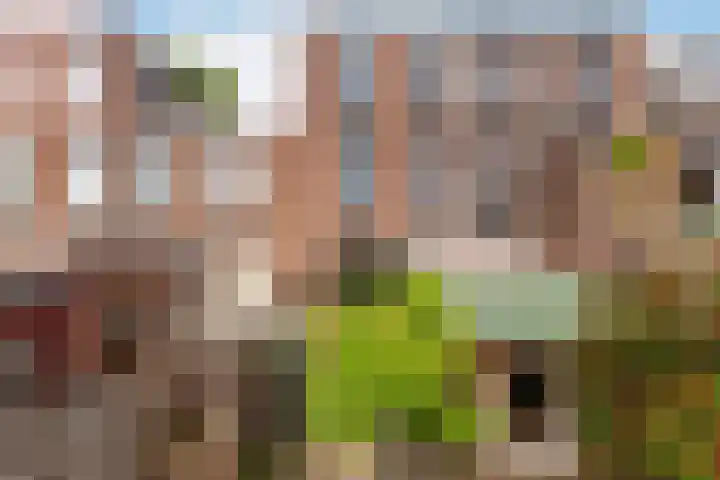 Adriaen van Ostadelaan 92 Utrecht thumbnail 23