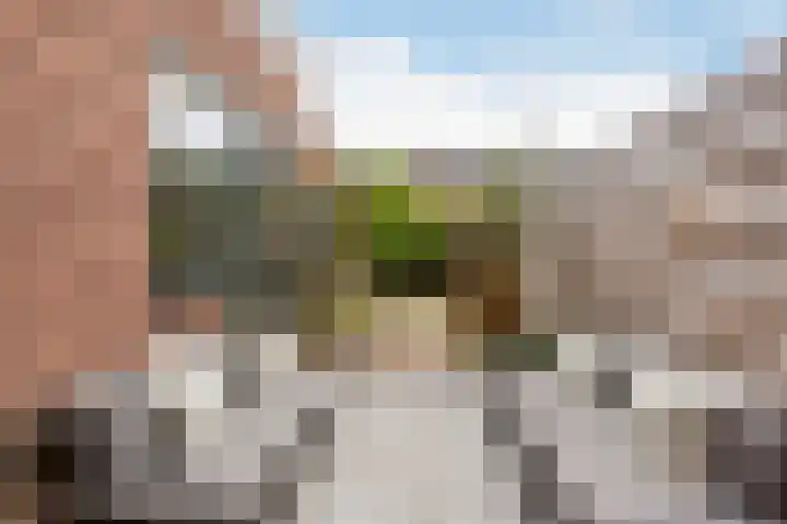 Adriaen van Ostadelaan 92 Utrecht thumbnail 24